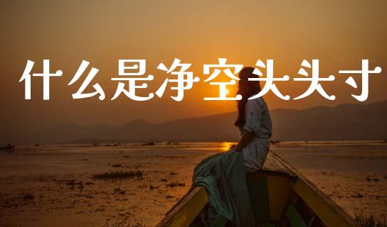 什么是净空头头寸_https://wap.lxcailiao.com_金融监管_第1张