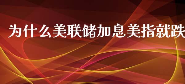 为什么美联储加息美指就跌_https://wap.lxcailiao.com_财务管理_第1张