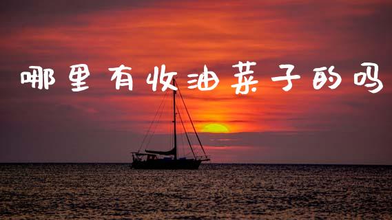 哪里有收油菜子的吗_https://wap.lxcailiao.com_财务管理_第1张