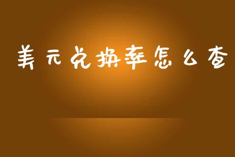 美元兑换率怎么查_https://wap.lxcailiao.com_金融监管_第1张