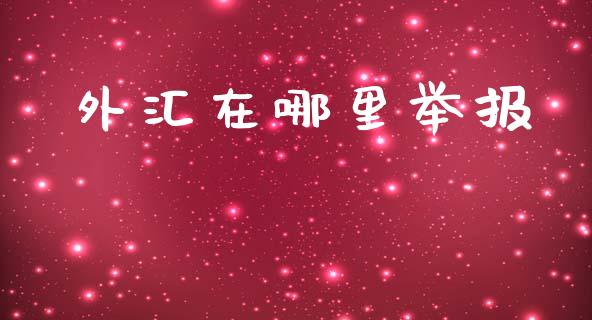 外汇在哪里举报_https://wap.lxcailiao.com_金融监管_第1张