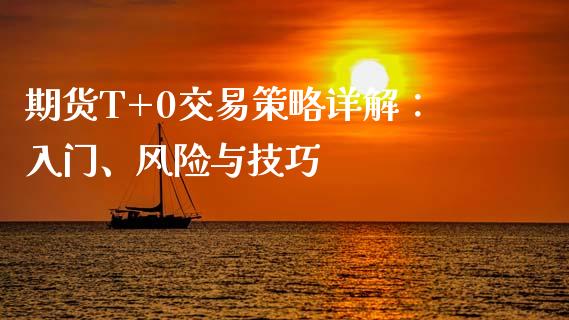 期货T+0交易策略详解：入门、风险与技巧_https://wap.lxcailiao.com_融资担保_第1张