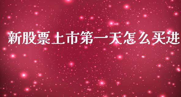 新股票上市第一天怎么买进_https://wap.lxcailiao.com_财务管理_第1张