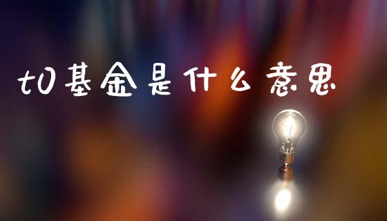 t0基金是什么意思_https://wap.lxcailiao.com_财务管理_第1张