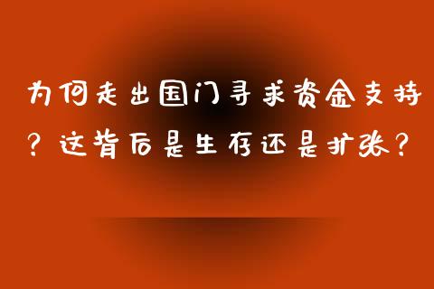 为何走出国门寻求资金支持？这背后是生存还是扩张？_https://wap.lxcailiao.com_融资担保_第1张
