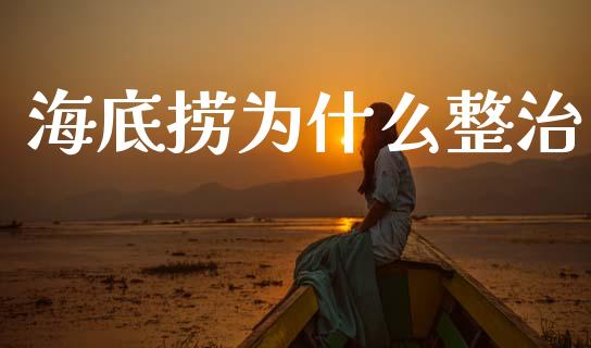 海底捞为什么整治_https://wap.lxcailiao.com_财务管理_第1张