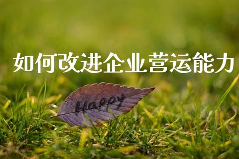 如何改进企业营运能力_https://wap.lxcailiao.com_财务管理_第1张