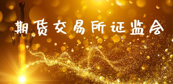 期货交易所证监会_https://wap.lxcailiao.com_财务管理_第1张