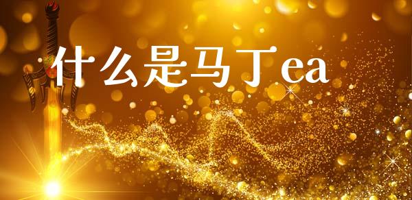 什么是马丁ea_https://wap.lxcailiao.com_财务管理_第1张