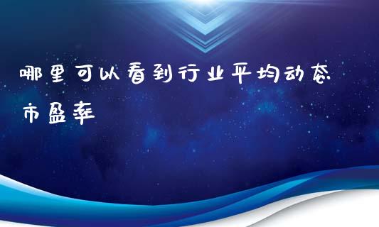 哪里可以看到行业平均动态市盈率_https://wap.lxcailiao.com_融资担保_第1张
