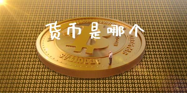 货币是哪个_https://wap.lxcailiao.com_金融监管_第1张