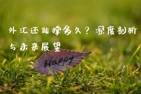 外汇还能撑多久？深度剖析与未来展望_https://wap.lxcailiao.com_财务管理_第1张
