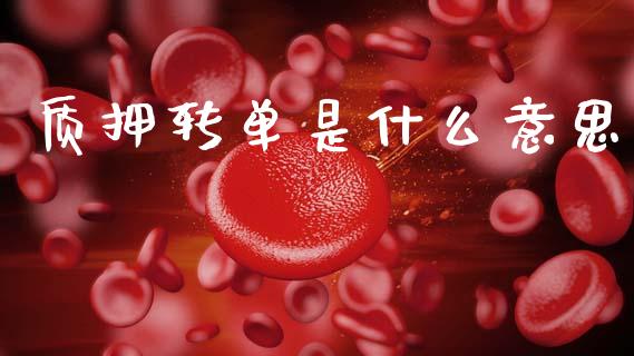质押转单是什么意思_股权投资_第1张_金融监管_融资担保_财务管理_股权投资 质押转单是什么意思_https://wap.lxcailiao.com_股权投资_第1张