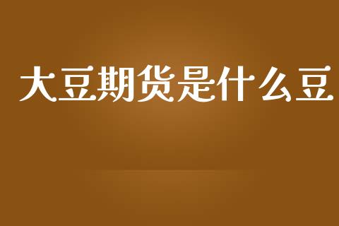 大豆期货是什么豆_https://wap.lxcailiao.com_财务管理_第1张