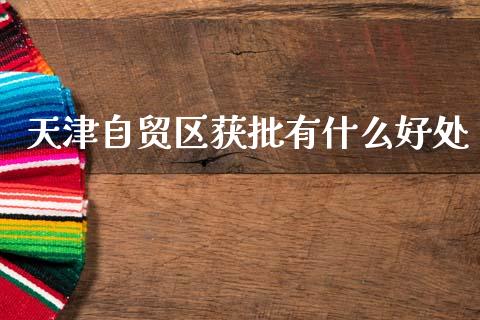 天津自贸区获批有什么好处_https://wap.lxcailiao.com_融资担保_第1张