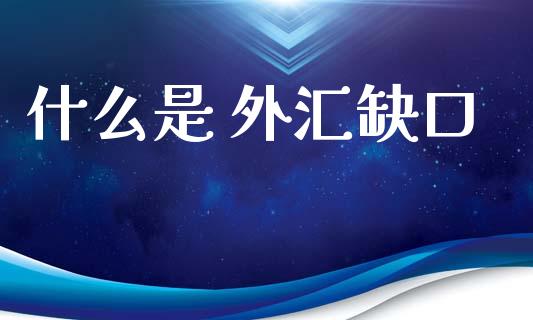 什么是 外汇缺口_https://wap.lxcailiao.com_财务管理_第1张