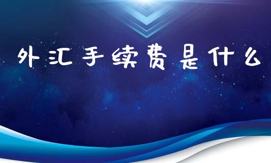 外汇手续费是什么_https://wap.lxcailiao.com_融资担保_第1张