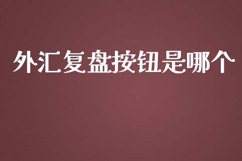 外汇复盘按钮是哪个_https://wap.lxcailiao.com_融资担保_第1张