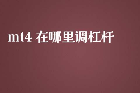 mt4 在哪里调杠杆_https://wap.lxcailiao.com_金融监管_第1张