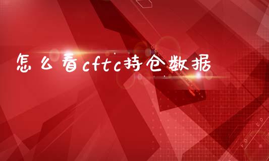 怎么看cftc持仓数据_https://wap.lxcailiao.com_融资担保_第1张