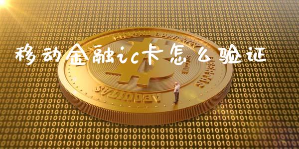 移动金融ic卡怎么验证_https://wap.lxcailiao.com_融资担保_第1张
