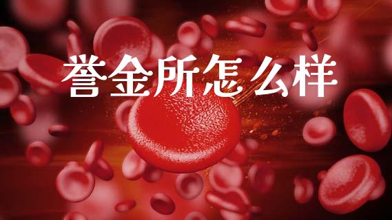 誉金所怎么样_https://wap.lxcailiao.com_股权投资_第1张
