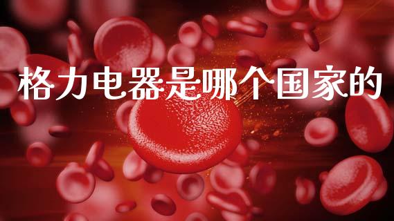 格力电器是哪个国家的_https://wap.lxcailiao.com_股权投资_第1张