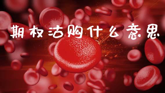 期权沽购什么意思_https://wap.lxcailiao.com_股权投资_第1张