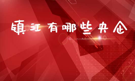 镇江有哪些央企_https://wap.lxcailiao.com_金融监管_第1张
