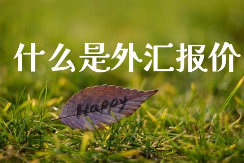 什么是外汇报价_https://wap.lxcailiao.com_融资担保_第1张