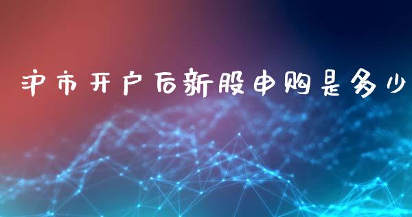 沪市开户后新股申购是多少_https://wap.lxcailiao.com_财务管理_第1张