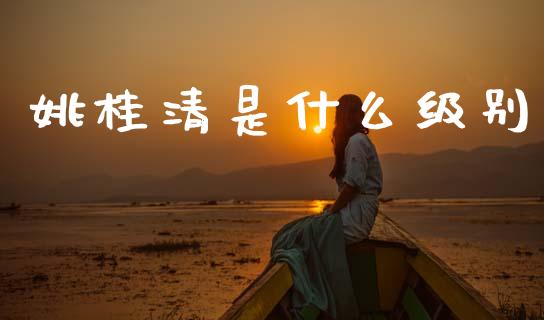 姚桂清是什么级别_https://wap.lxcailiao.com_财务管理_第1张
