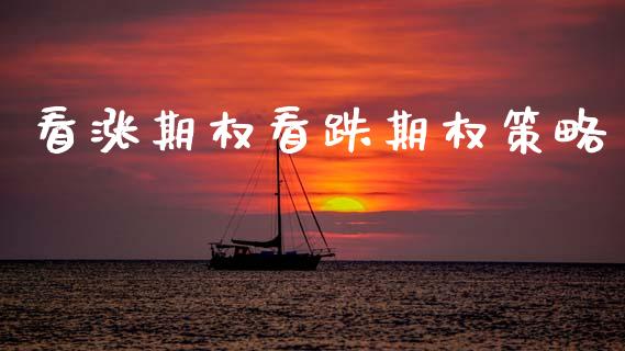 看涨期权看跌期权策略_https://wap.lxcailiao.com_金融监管_第1张