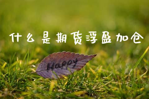 什么是期货浮盈加仓_金融监管_第1张_金融监管_融资担保_财务管理_股权投资 什么是期货浮盈加仓_https://wap.lxcailiao.com_金融监管_第1张