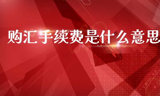 购汇手续费是什么意思_https://wap.lxcailiao.com_金融监管_第1张