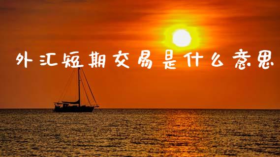 外汇短期交易是什么意思_https://wap.lxcailiao.com_财务管理_第1张