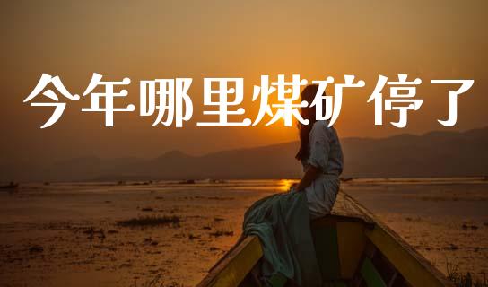 今年哪里煤矿停了_https://wap.lxcailiao.com_融资担保_第1张