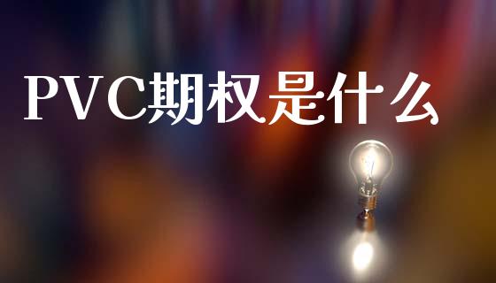 PVC期权是什么_https://wap.lxcailiao.com_财务管理_第1张