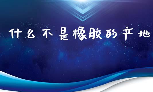 什么不是橡胶的产地_https://wap.lxcailiao.com_金融监管_第1张
