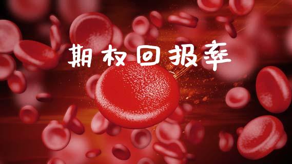 期权回报率_https://wap.lxcailiao.com_金融监管_第1张