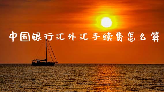 中国银行汇外汇手续费怎么算_https://wap.lxcailiao.com_融资担保_第1张