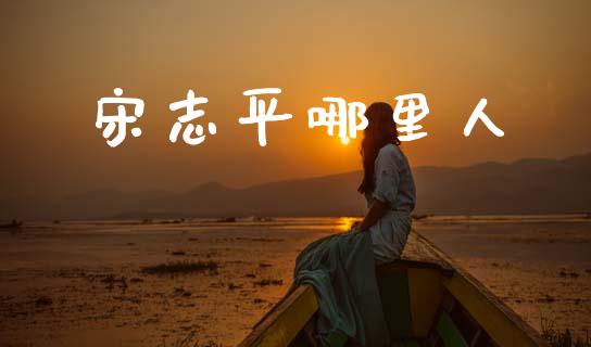 宋志平哪里人_https://wap.lxcailiao.com_金融监管_第1张