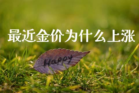 最近金价为什么上涨_https://wap.lxcailiao.com_金融监管_第1张