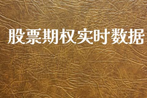 股票期权实时数据_https://wap.lxcailiao.com_股权投资_第1张
