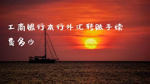 工商银行本行外汇转账手续费多少_https://wap.lxcailiao.com_股权投资_第1张