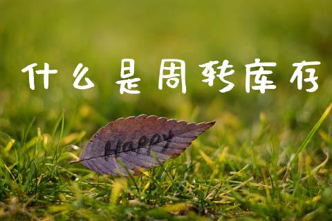 什么是周转库存_https://wap.lxcailiao.com_股权投资_第1张