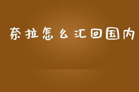 奈拉怎么汇回国内_https://wap.lxcailiao.com_融资担保_第1张