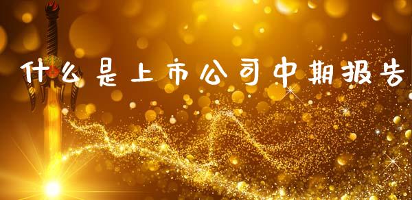 什么是上市公司中期报告_https://wap.lxcailiao.com_融资担保_第1张