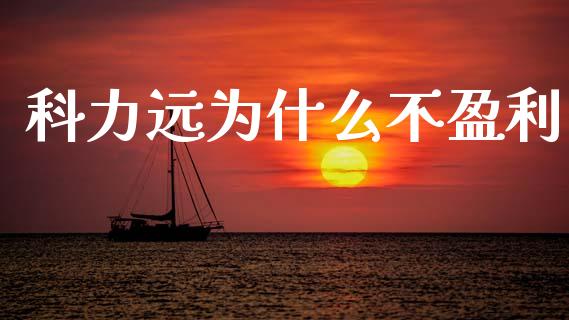 科力远为什么不盈利_https://wap.lxcailiao.com_股权投资_第1张