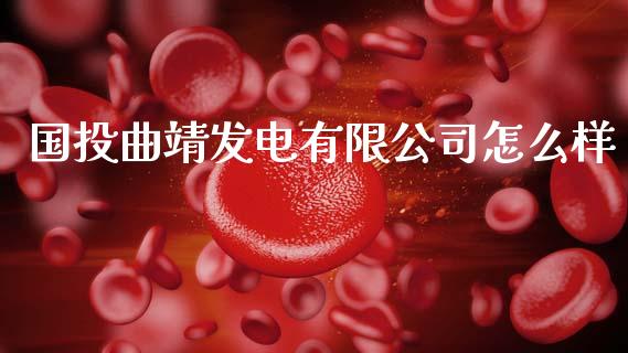 国投曲靖发电有限公司怎么样_https://wap.lxcailiao.com_股权投资_第1张